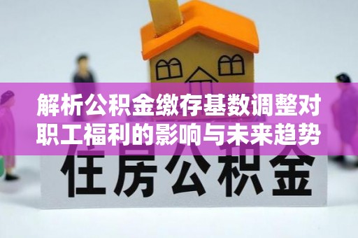 郴州解析公积金缴存基数调整对职工福利的影响与未来趋势