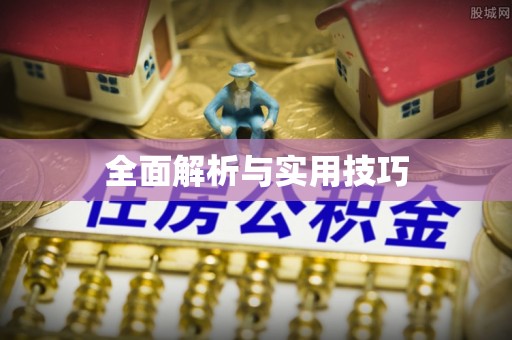 郴州全面解析与实用技巧