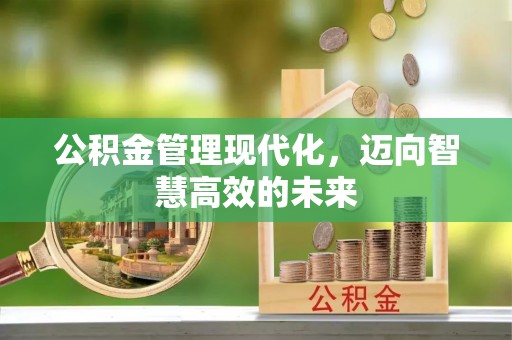 郴州公积金管理现代化，迈向智慧高效的未来