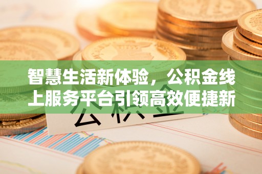 郴州智慧生活新体验，公积金线上服务平台引领高效便捷新潮流