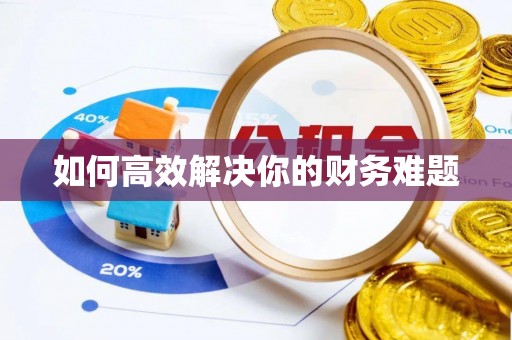 郴州如何高效解决你的财务难题